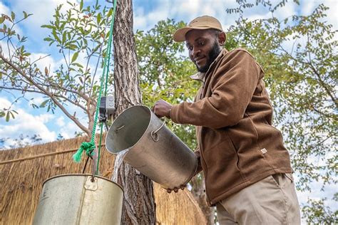 NKONZI CAMP - GAVIN OPIE SAFARIS (South Luangwa National Park) - Lodge ...