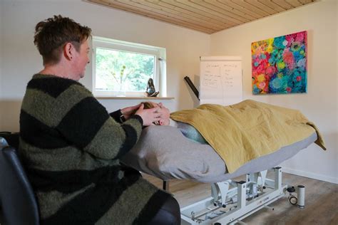 BLIV ACCESS BARS® BEHANDLER. Den mest afstressende behandling Små hold ...