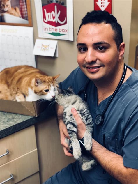 Team - Vet in Santa Monica | Santa Monica Veterinary Group