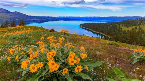 7 Montana State Parks With Glacier National Park Vibes, But Better