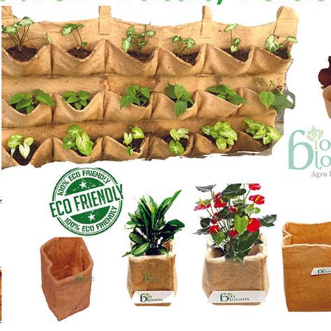 Eco Friendly Planters – biobloomsshop