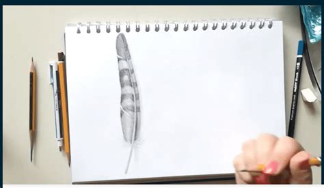 Sample Drawing 的图像结果