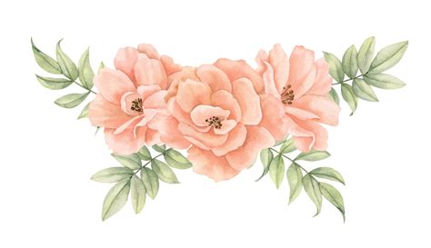 Peach Flower Colour at Beth Anker blog