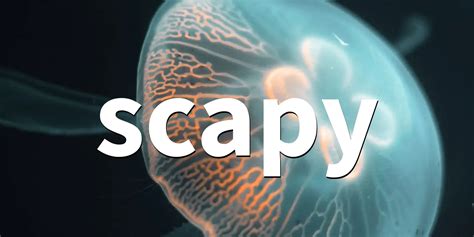 Image result for Scapy Full-Course