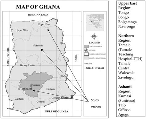A Phenomenological Account of HIV Disclosure Experiences of Children ...