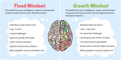 Mindset Types 的图像结果