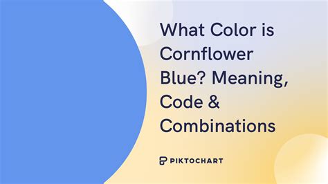 What Color is Cornflower Blue? Meaning, Code & Combinations