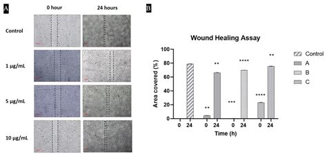 Heparin-Loaded Alginate Hydrogels: Characterization and Molecular Mechanisms of Their Angiogenic ...