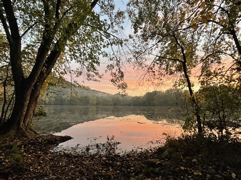 Oak Hills Medical Ear Piercing — Oak Hills Medical