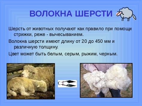 Натуральные волокна животного происхождения