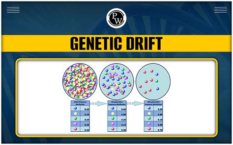 Genetic Drift: Inroduction, Examples, Types, Causes