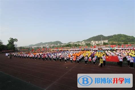 重庆第二外国语学校2024年学费、收费多少