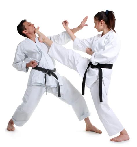 Image result for Karate Basic Practice