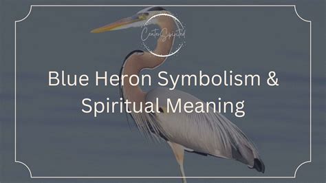 What Do Herons Symbolize