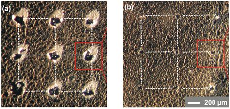 Laser-Induced Breakdown Spectroscopy in Biological Samples: A Review of ...