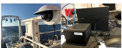 Image result for Sea Creatures Alert Program