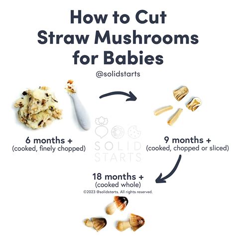 Straw Mushroom for Babies When Can Babies Eat Straw Mushroom