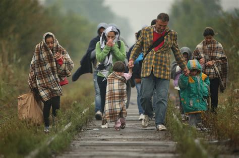 Image result for Migration Methods