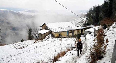 Hotel Baba Resort | Hotel in Masaurhi Buzurg | Timbu.in