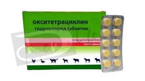 VETERINARY PRODUCTS - Oxytetracycline Hydrochloride Tablets 250 Mg ...