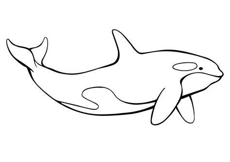 Coloring Page Of An Orca