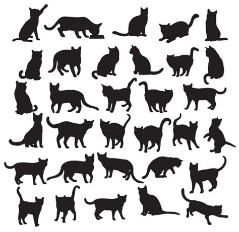 Cat Vector 的图像结果