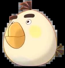 Image result for One Example of Microevolution