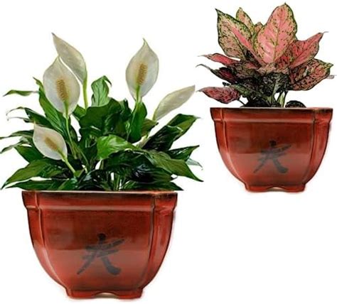 PLANTORI Plant Cachepots, Succulent Pots and Planters, 4 Inch Flower ...