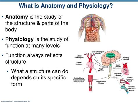 Image result for Chapter 1 Study Guide