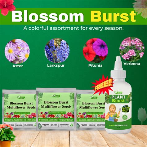 Blossom Burst Multiflora Seeds Free with Plant Boost – PlantBoost
