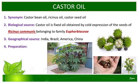 Pharmacognostic study of drugs containing lipids | PDF