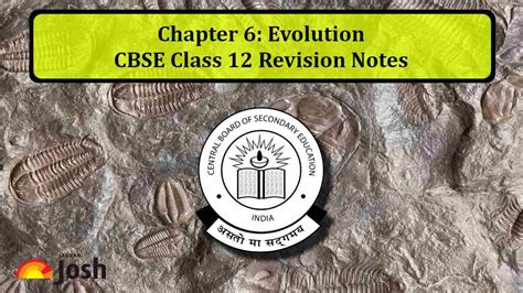 Image result for Class 12 Chapter 6 Evolution