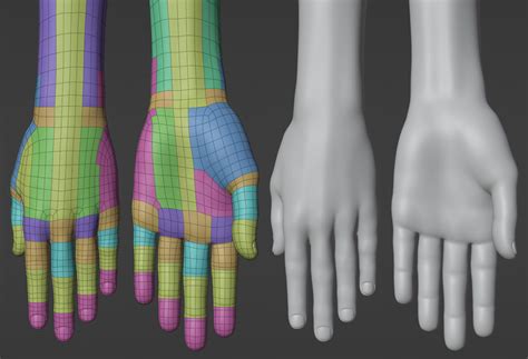 Image result for Basic Human Model Blender