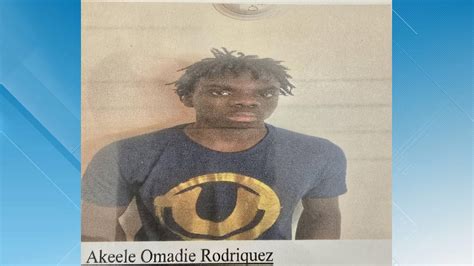 Halifax County Sheriff's Office in search of missing 16-year-old boy
