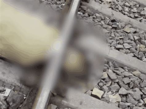 Vice Presidential election on September 9, nominations open till Aug 21 ...