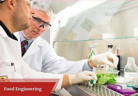 What Is Food Engineering 的图像结果