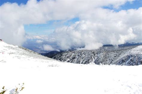 Sandakphu February Itinerary Cost Breakdown Packing List and Fitness Tips