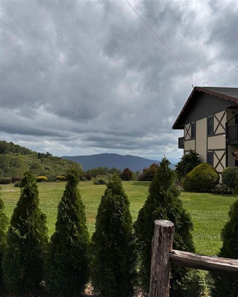 Amelia Wet Angel - Official Site | Biography, Photos, Videos & Latest ...