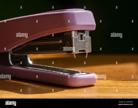 Image result for Metal Waste Stapler Pin