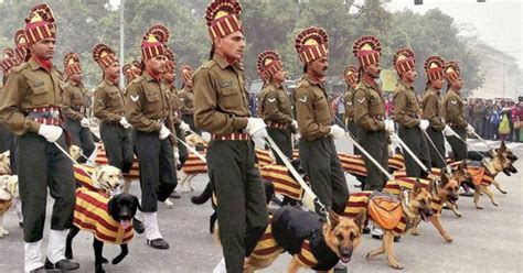 army to make war memorial for animals in meerut| सेना में अपना योगदान ...