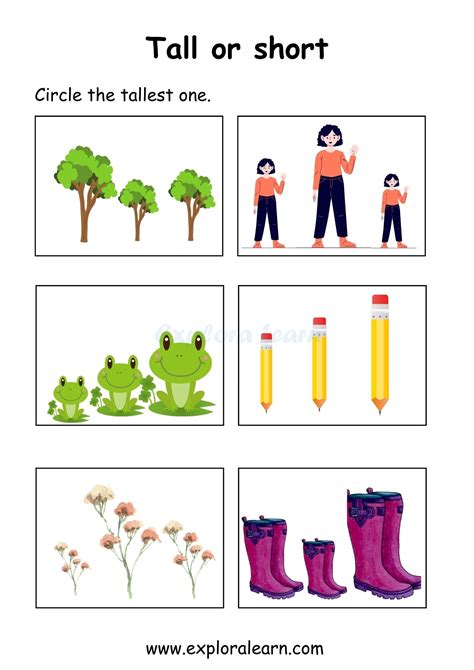 Engaging Comparison Worksheets for Preschool & Kindergarten - Above and ...