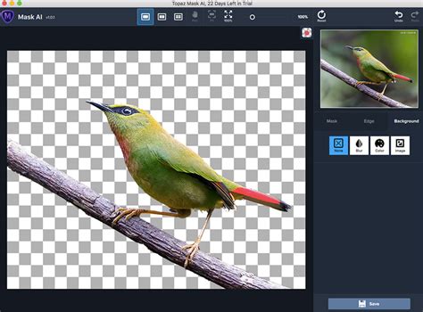 Image result for How to Use Topaz Mask AI