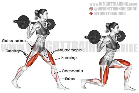 Dumbbell curl exercise instructions and video | Weight Training Guide