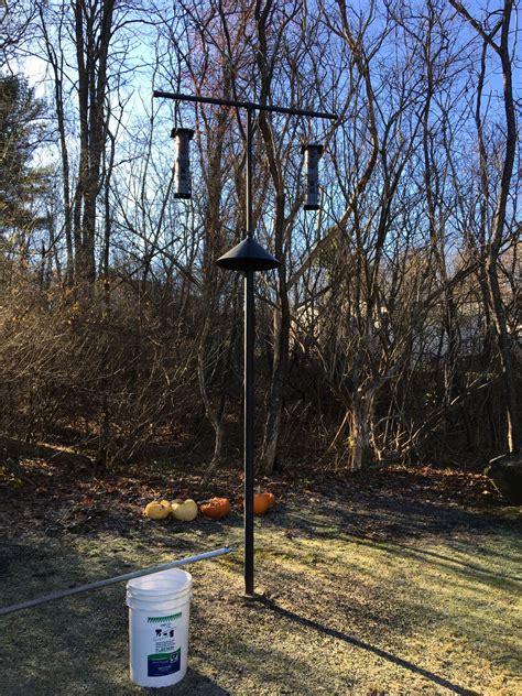Thom Smith: Readers' DIY bird feeder deters bears — squirrels, too ...