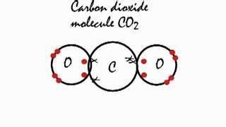 draw the diagram to show the bonding in CO2 - Brainly.in