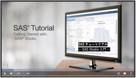 SAS Tutorial Video 的图像结果