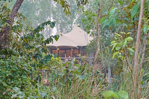 SAJA AND SAL (Bhawai Kheda) - Hotel Reviews, Photos, Rate Comparison ...