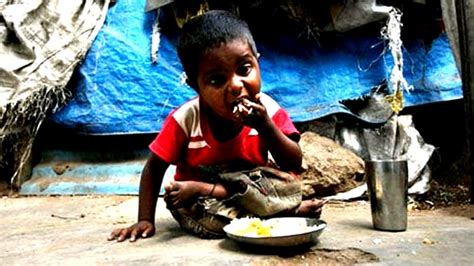 Malnutrition in India where there is no shortage of wheat and rice more ...