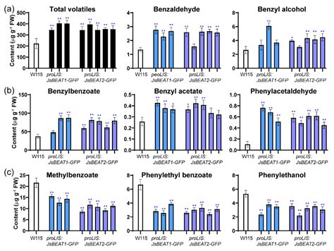 Characterization of Two BAHD Acetyltransferases Highly Expressed in the ...