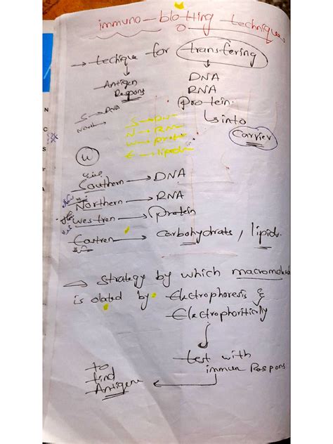 Biotechnology PDF 的图像结果